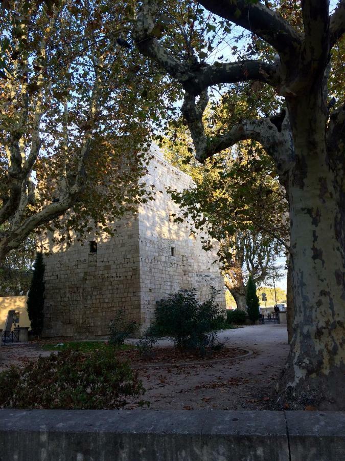 La Maison De Lara Villa Arles Eksteriør billede